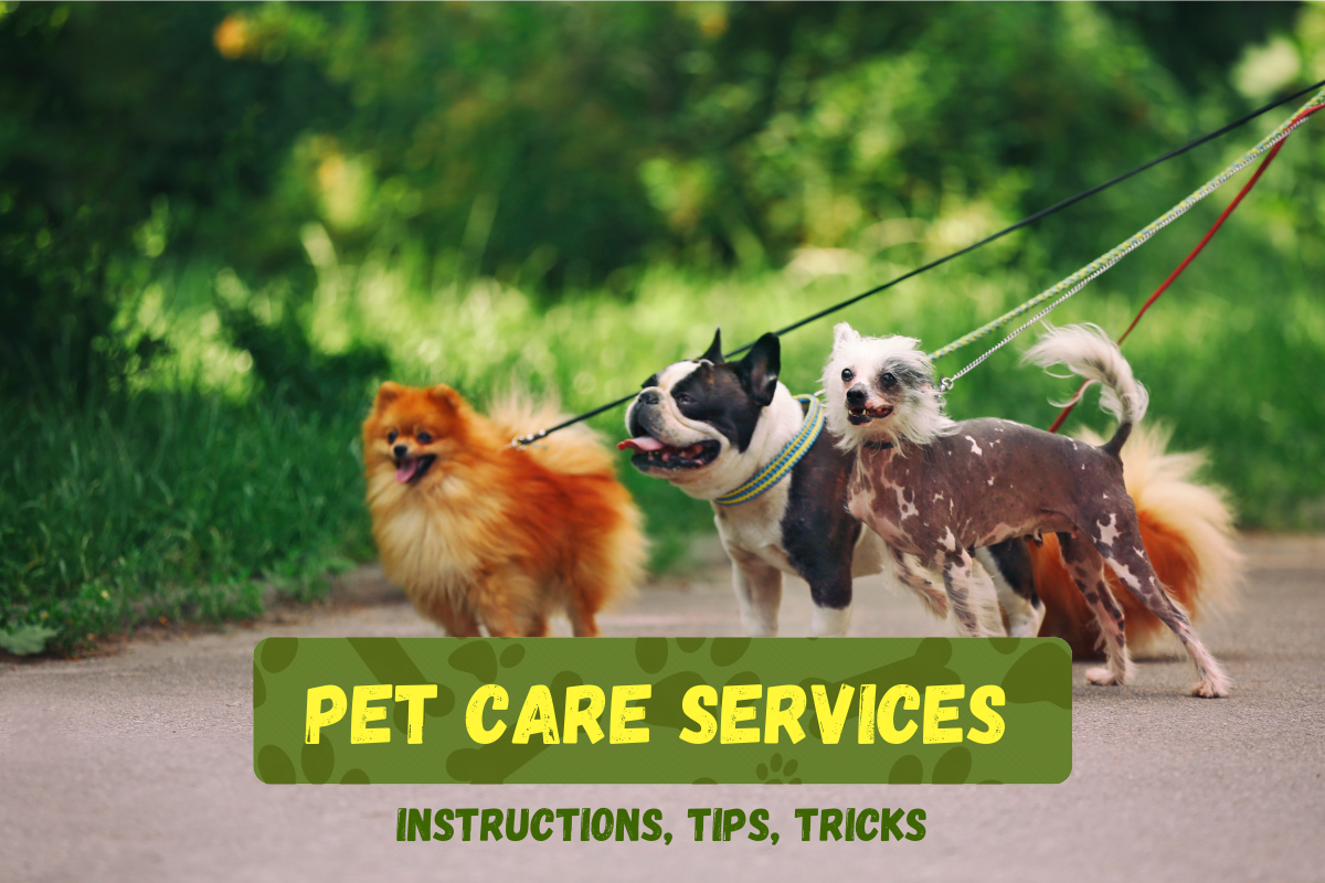 Pet Care Services (Dog Walking and Pet Sitting)